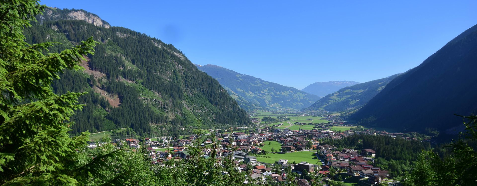 Blick auf den Ort Mayrhofen im Sommer