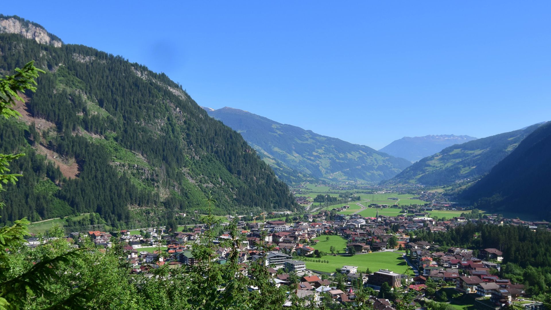 Blick auf den Ort Mayrhofen im Sommer