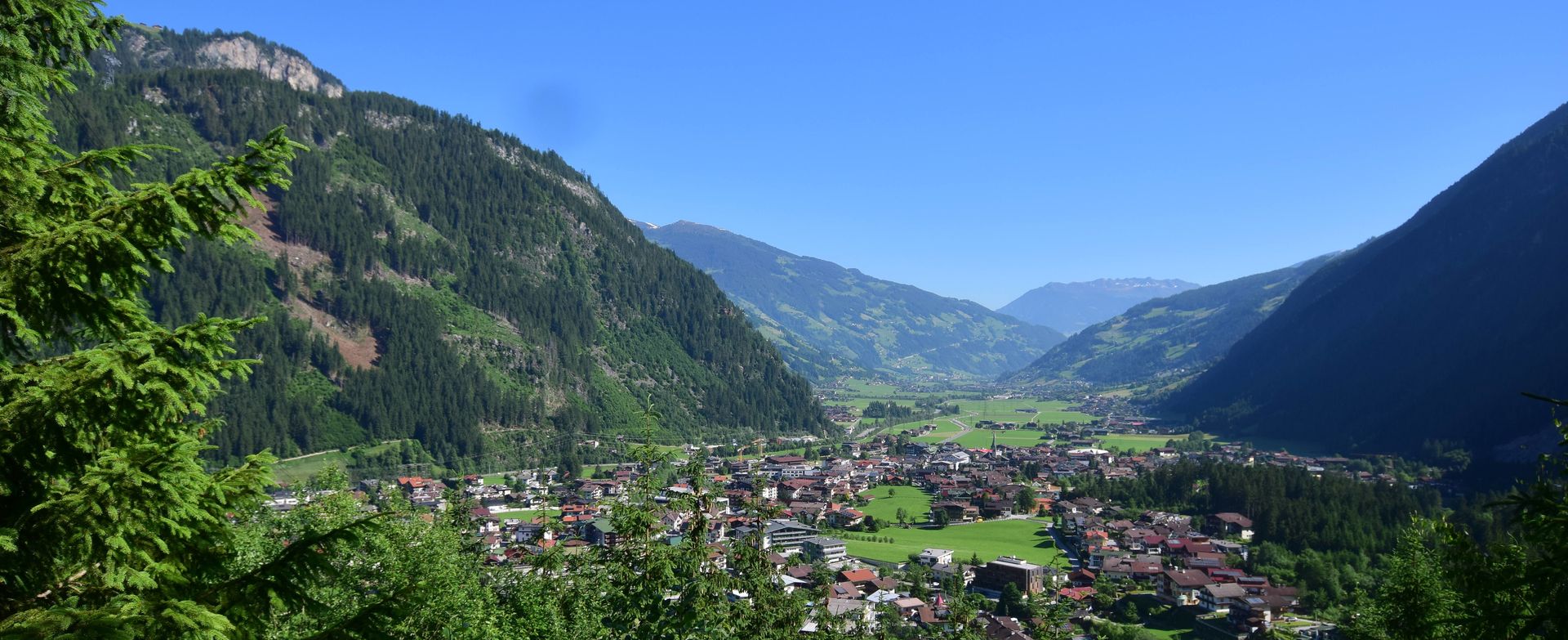 Blick auf den Ort Mayrhofen im Sommer