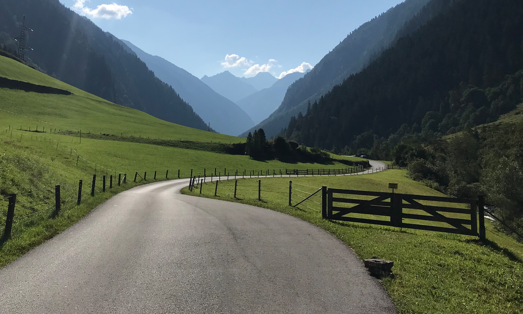 Alpenstraße Zillergrund bei Mayrhofen im Sommer: Die schmale Straße führt durch grüne Wiesen, eingerahmt von hohen Bergen und blauem Himmel an einem Sommertag.