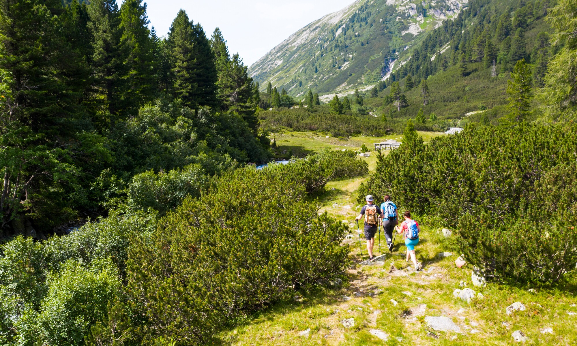 Guided hike at the Schlegeis reservoir 
