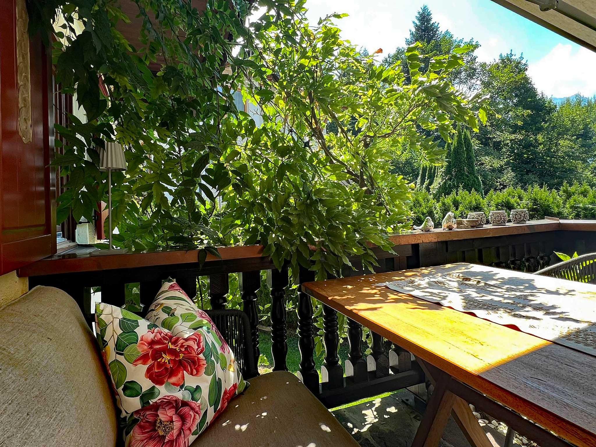 feratel-Apart Pauline - WhatsApp Bild 2025-08-10 um 14.35.30_a495fcf9_bear