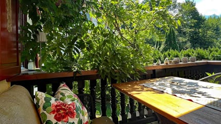 feratel-Apart Pauline - WhatsApp Bild 2025-08-10 um 14.35.30_a495fcf9_bear