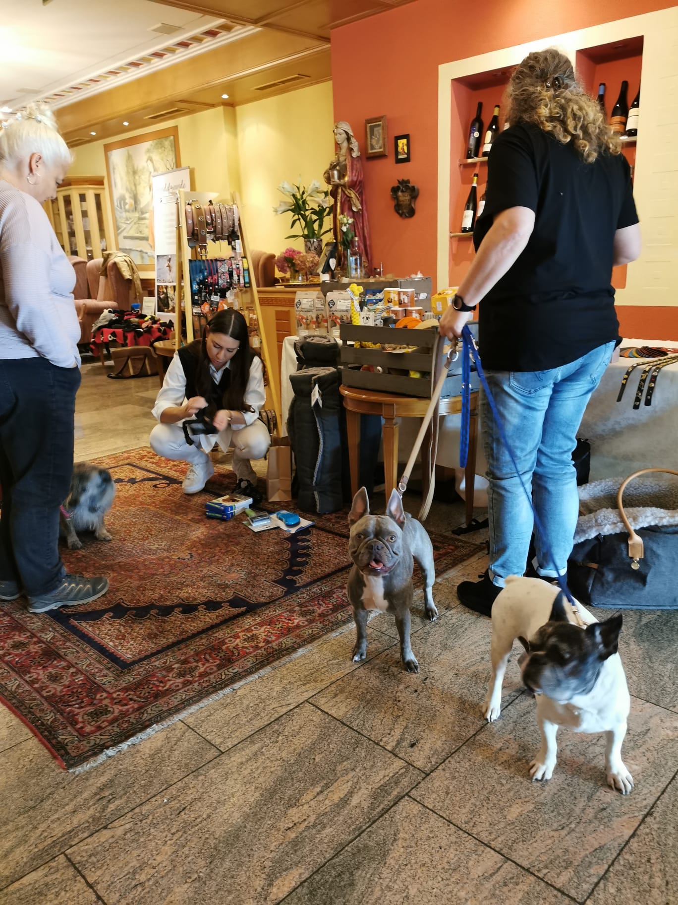 mys-3. Zillertaler Hundetag im Hotel Magdalena-Hundefreunde Zillertal