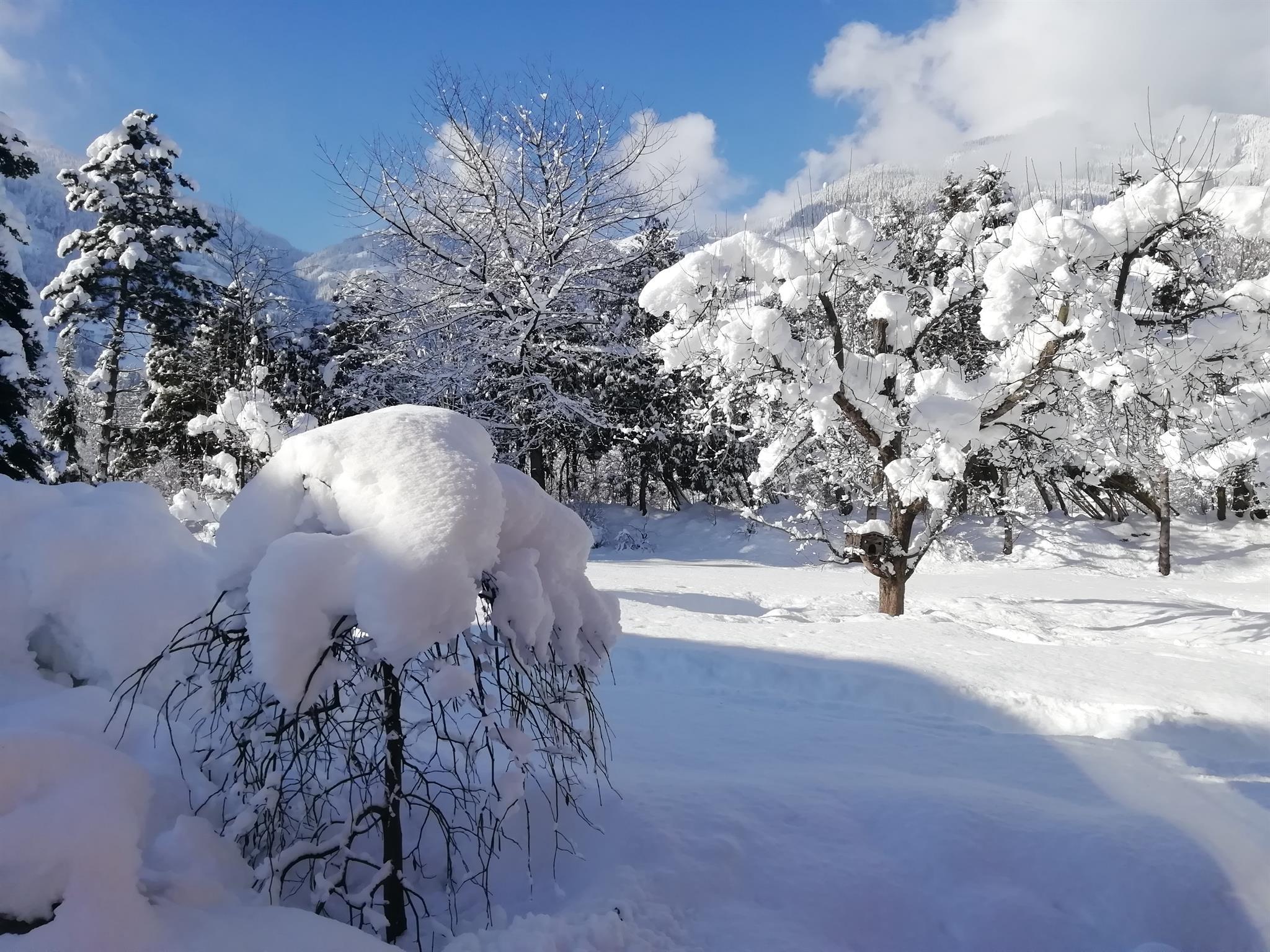feratel-Haus Ziaglbrenna - Haus Ziaglbrenna, Winter