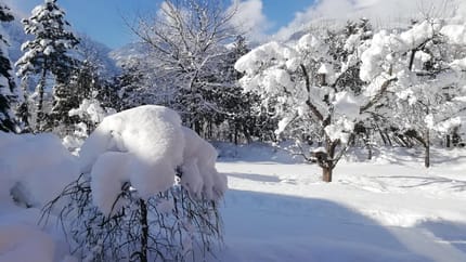 feratel-Haus Ziaglbrenna - Haus Ziaglbrenna, Winter