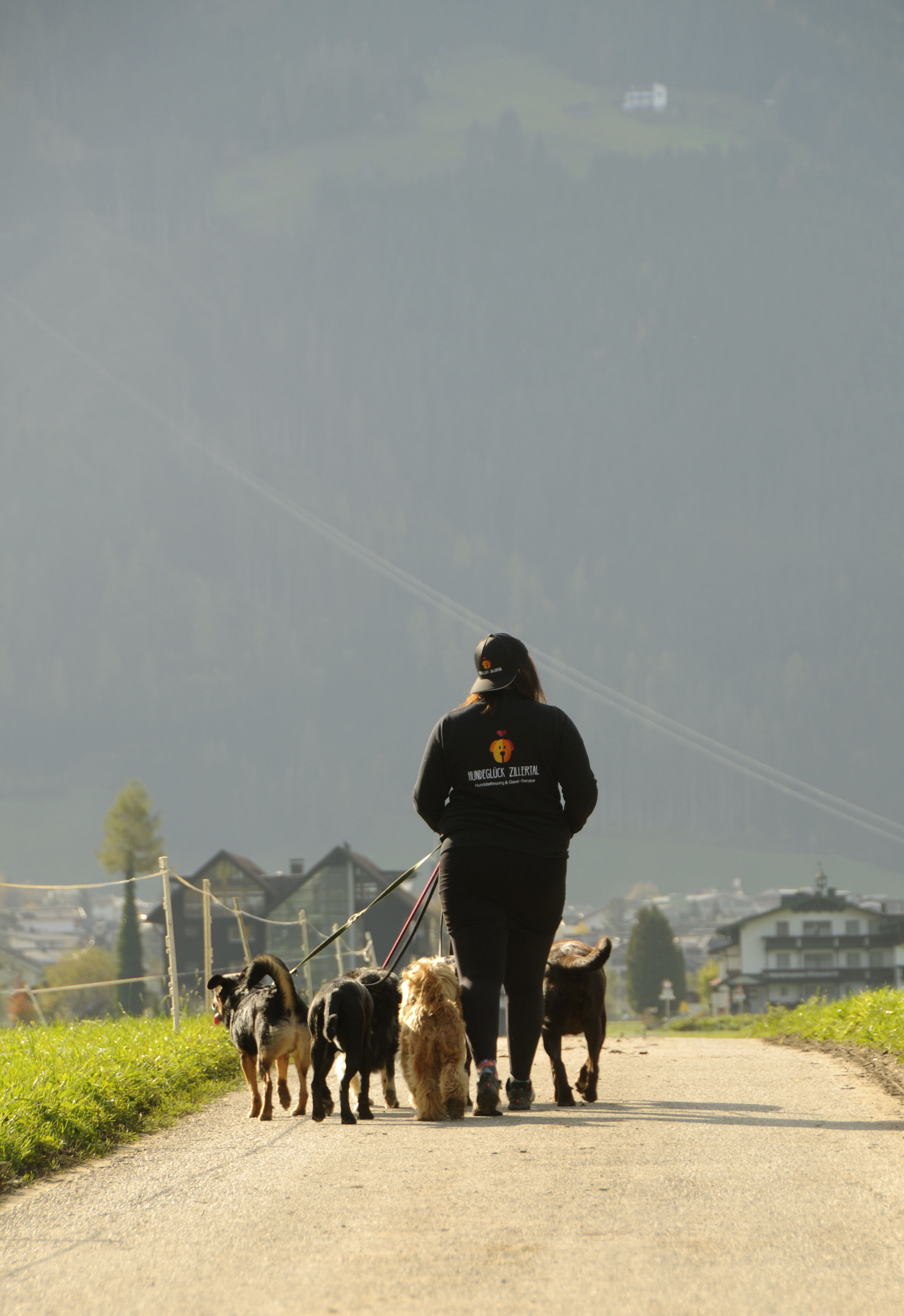 mys-Hundeglück Zillertal-Hundeglück Zillertal Spaziergang