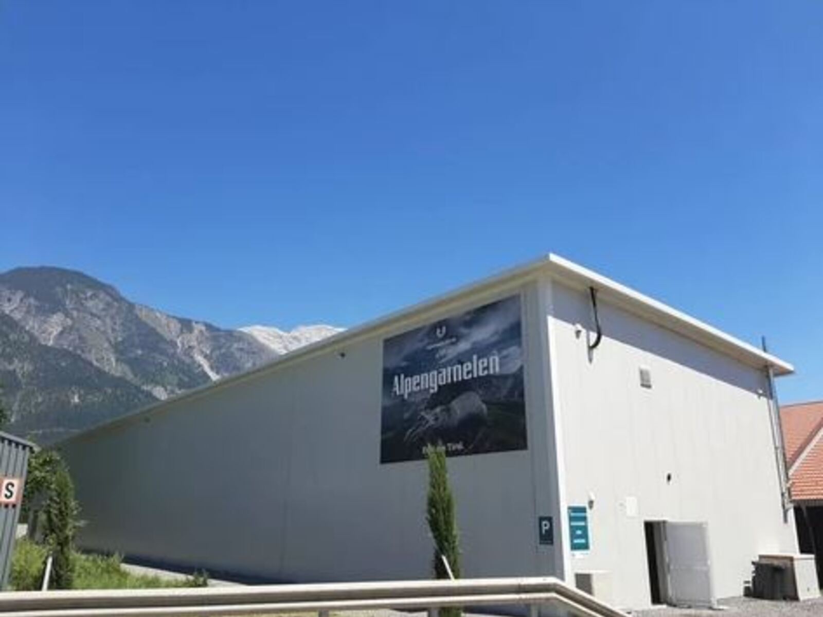 myregio-Alpengarnelen