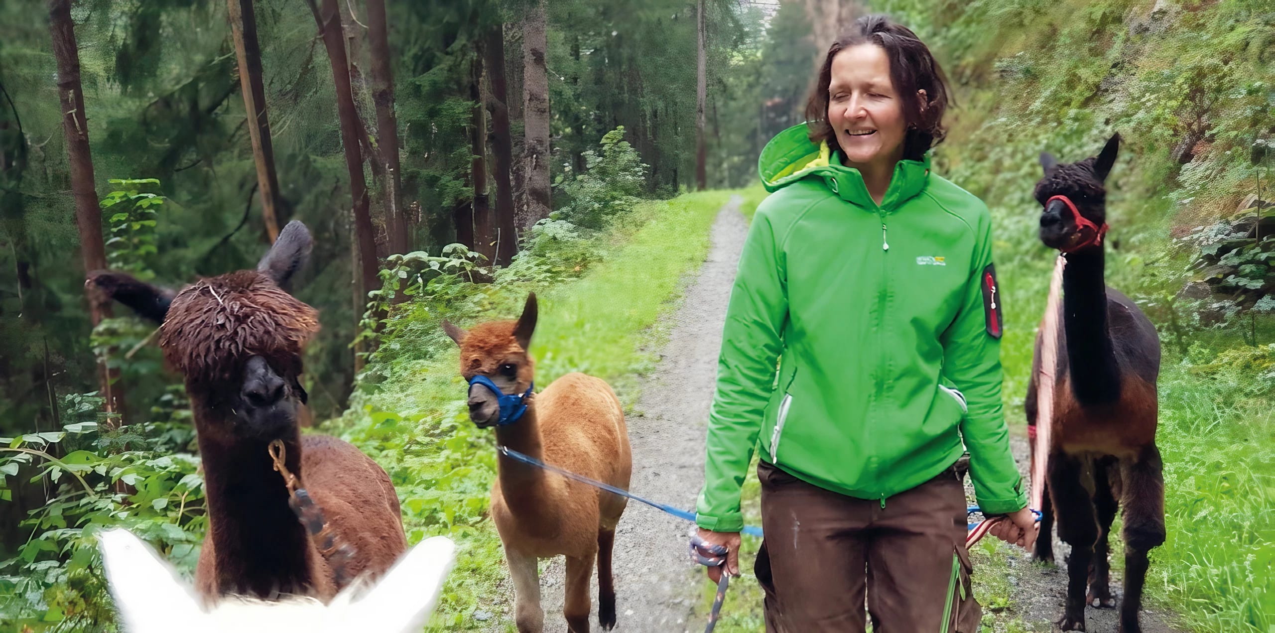 mys-Zu Besuch am Bauernhof-Zu Besuch am Bauernhof