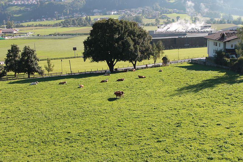 feratel-Appartements Huber - Zillertal-Fuegen-Appartements-Huber-Top5-Aussicht