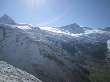 mys-Alpenrose 1.875m - Zemmgrund-Media Upload