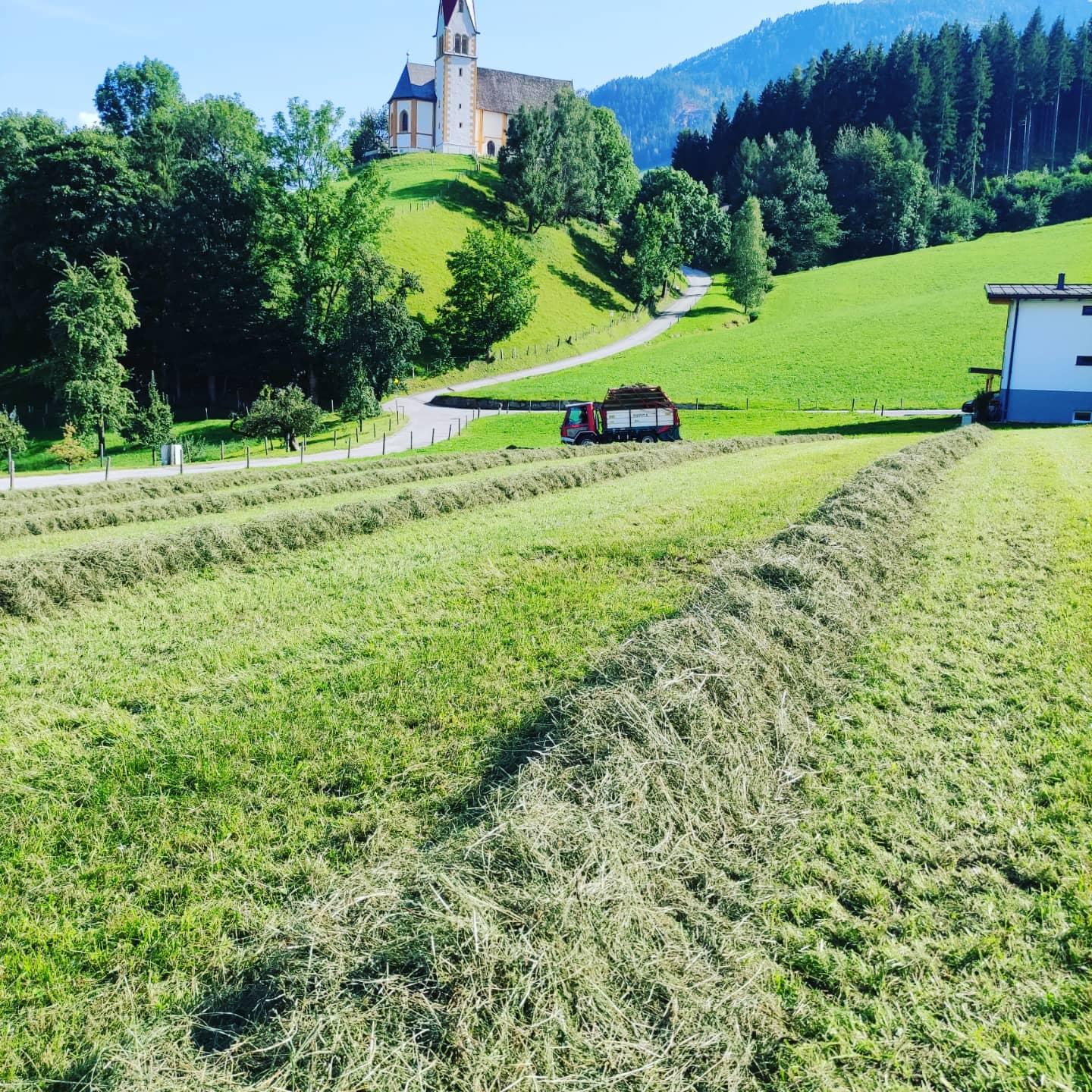 feratel-Appartement Wermenerhof - Umgebung