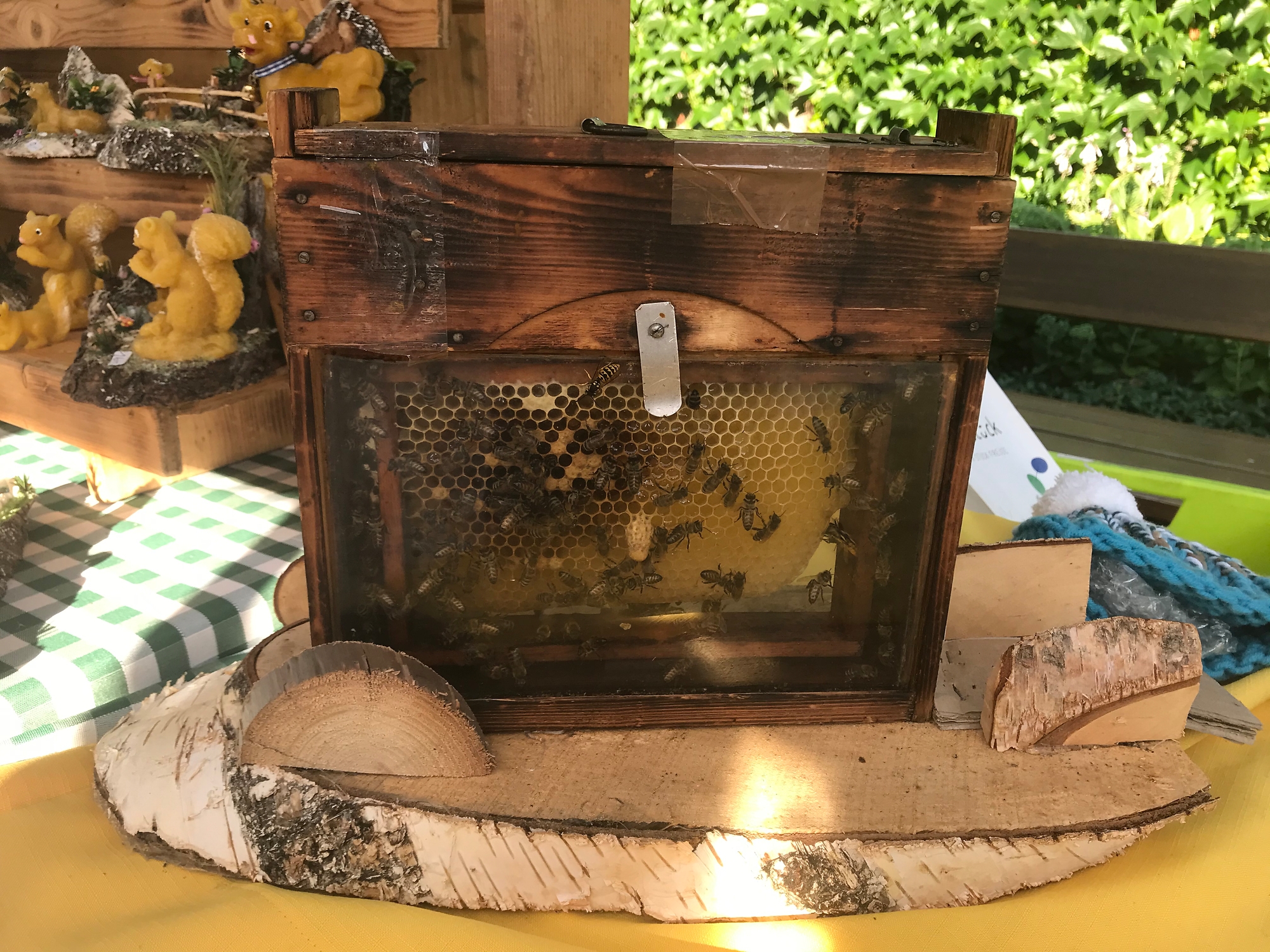 Das Bild zeigt einen offenen Bienenstock mit Bienen und Waben.