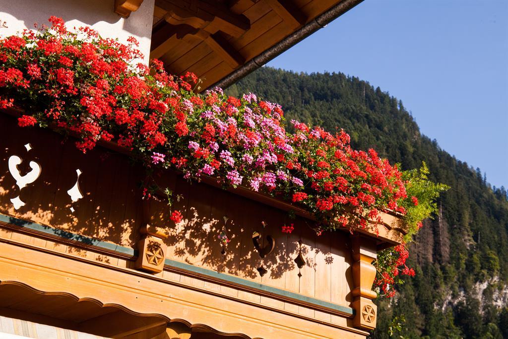 feratel-Gaestehaus_Elisabeth_Haus_04