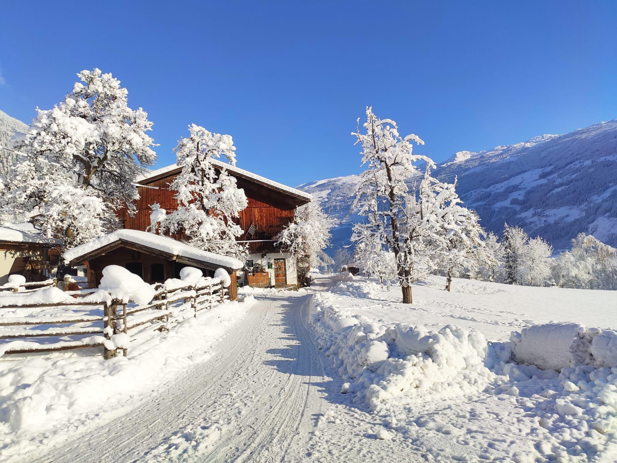 feratel-IMG-20231203-WA0011