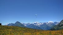 Paragliding in Mayrhofen-hippach
