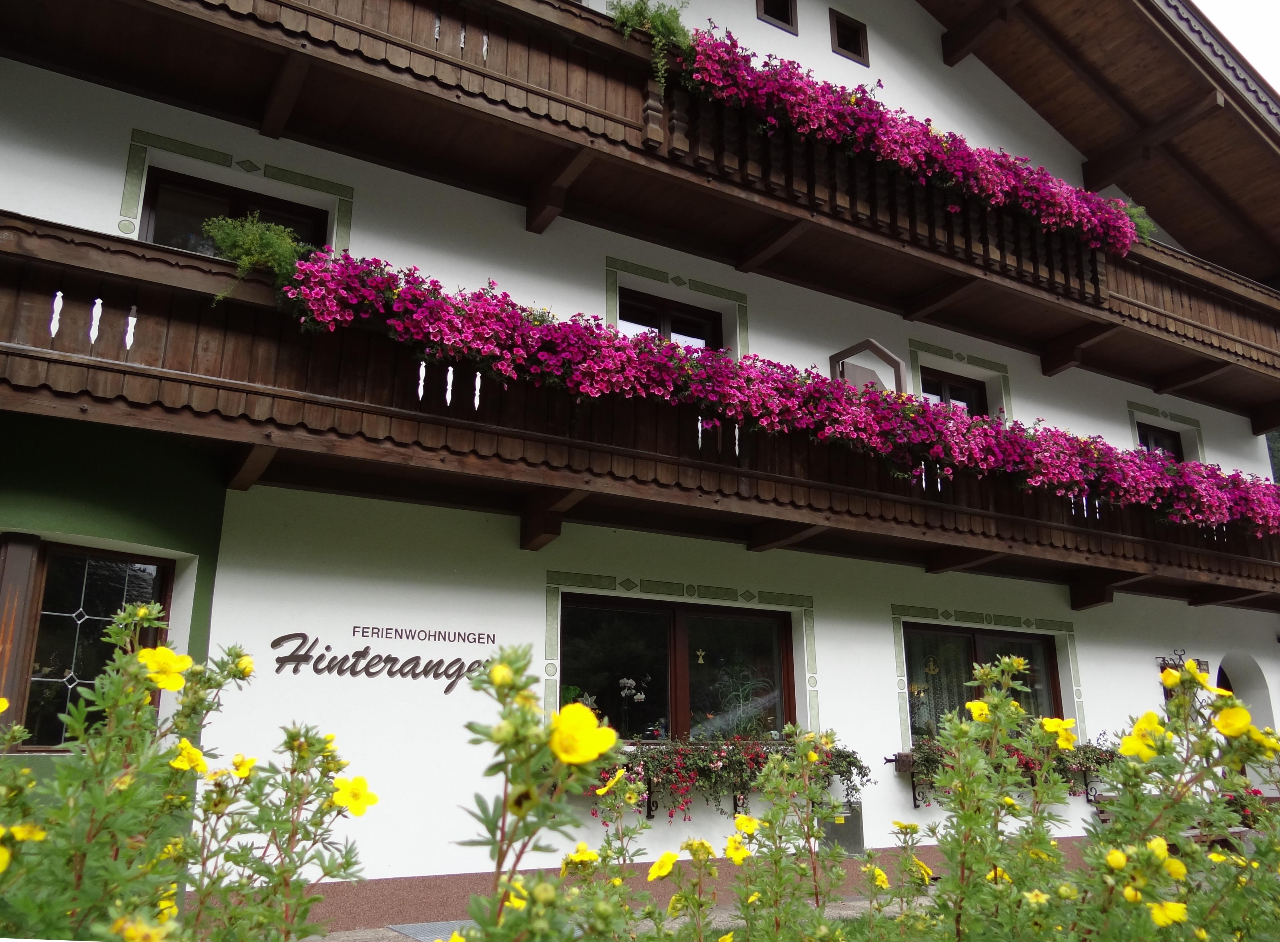 feratel-Hinteranger, Ferienwohnungen - Ferienwohnung Tux-Lanersbach Hinteraner Sommer