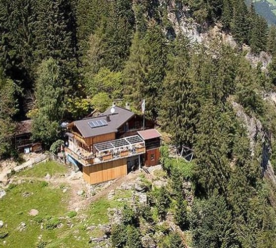 House on a steep, forested hillside with skylights and a terrace, surrounded by trees and rocks.