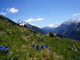 mhf-landschaft-sommer-zillertal-mayrhofen-hippach-foto-hubert-aschenwald ©Hubert Aschenwald