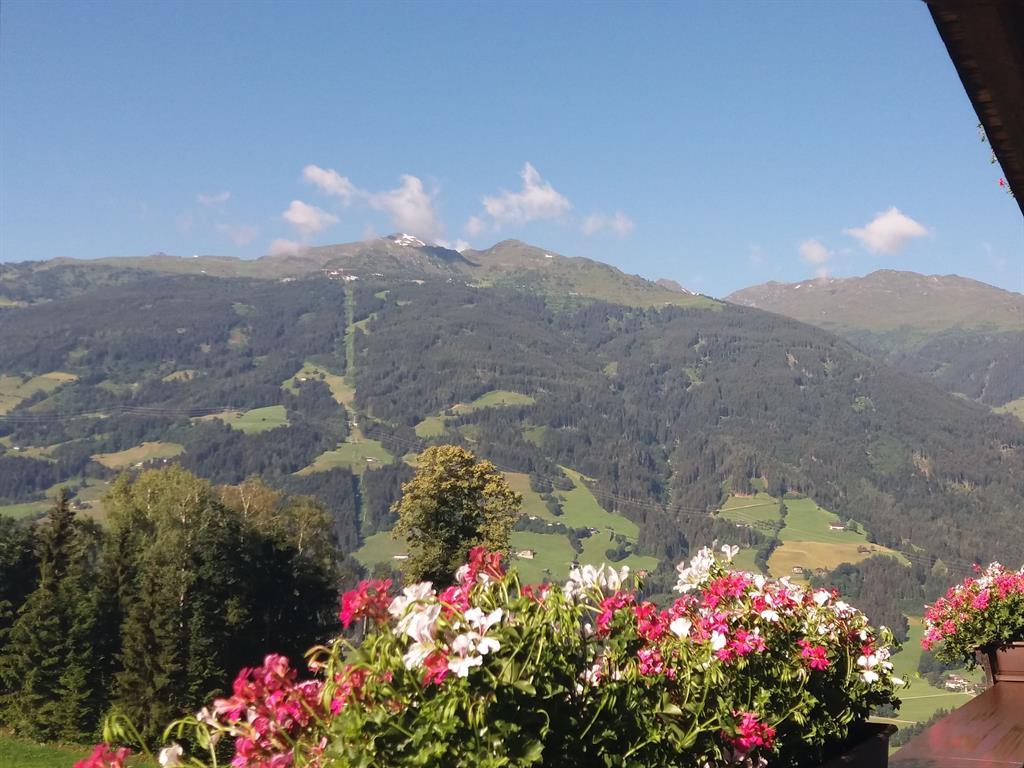 feratel-Haus Moidl - 20180620_083849