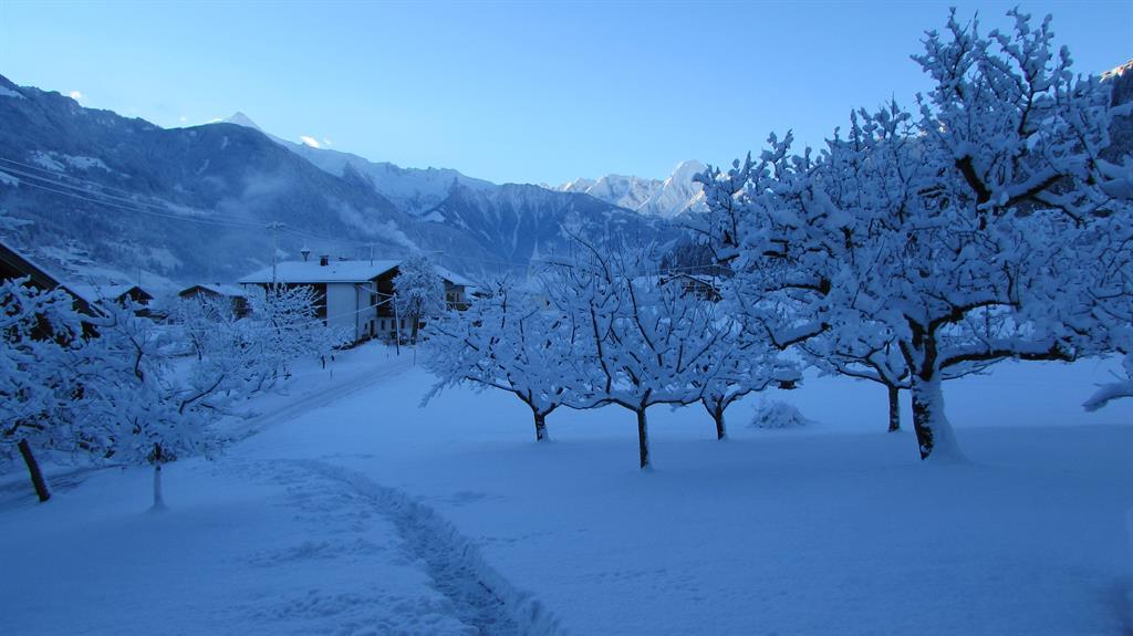 feratel-Kösslerhof (Gartenblick) - Kösslerhof, Hippach, Zillertal