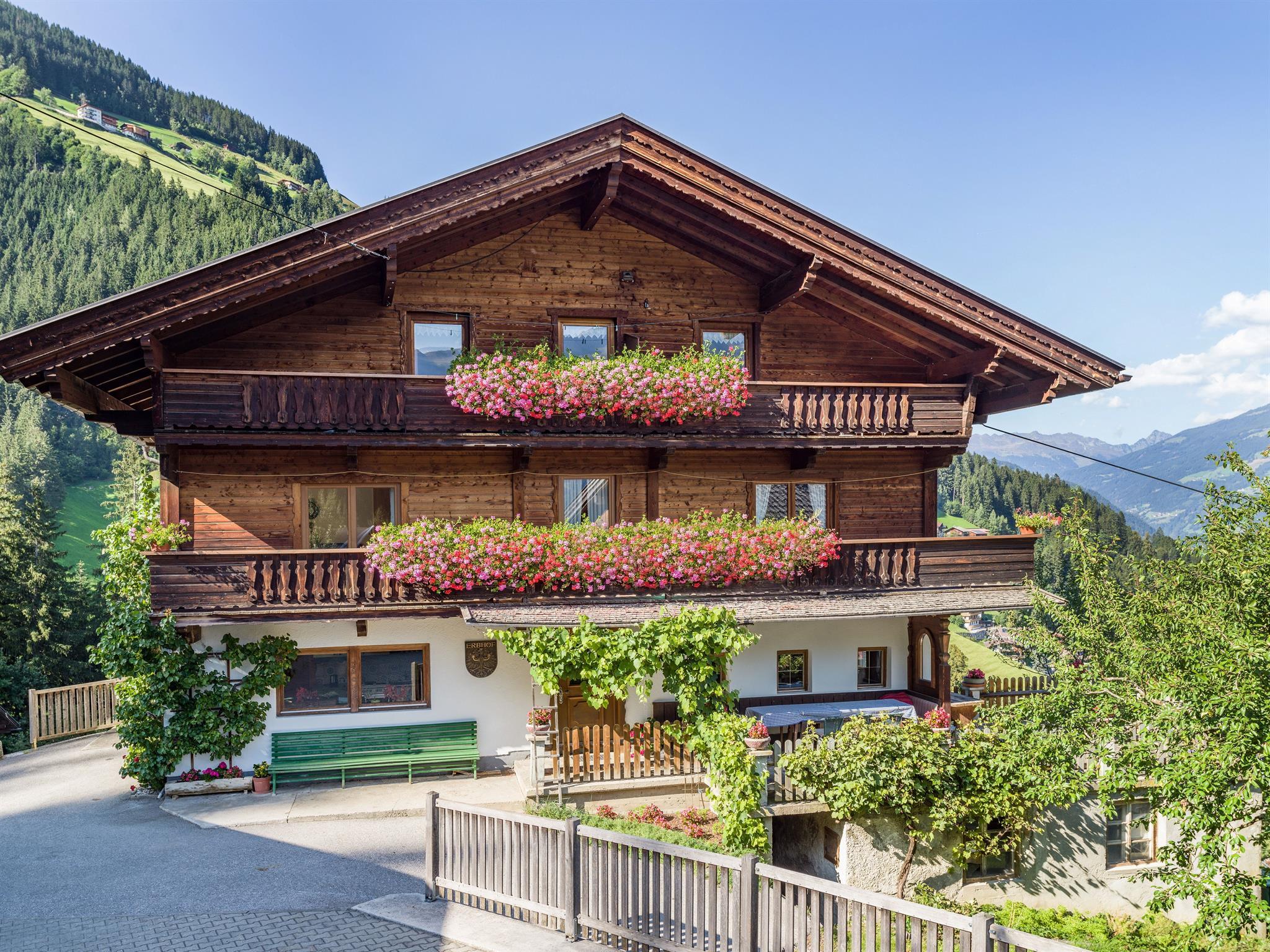 feratel-Klammsteinhof - Klammsteinhof_Kleinschwendberg_272_Schwendau_09_20