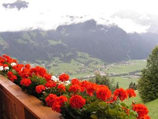 feratel-Steinberger Martha Hippach - Aussicht