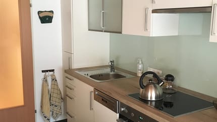 feratel-Ferienwohnung Geurts Verstraaten - Küche