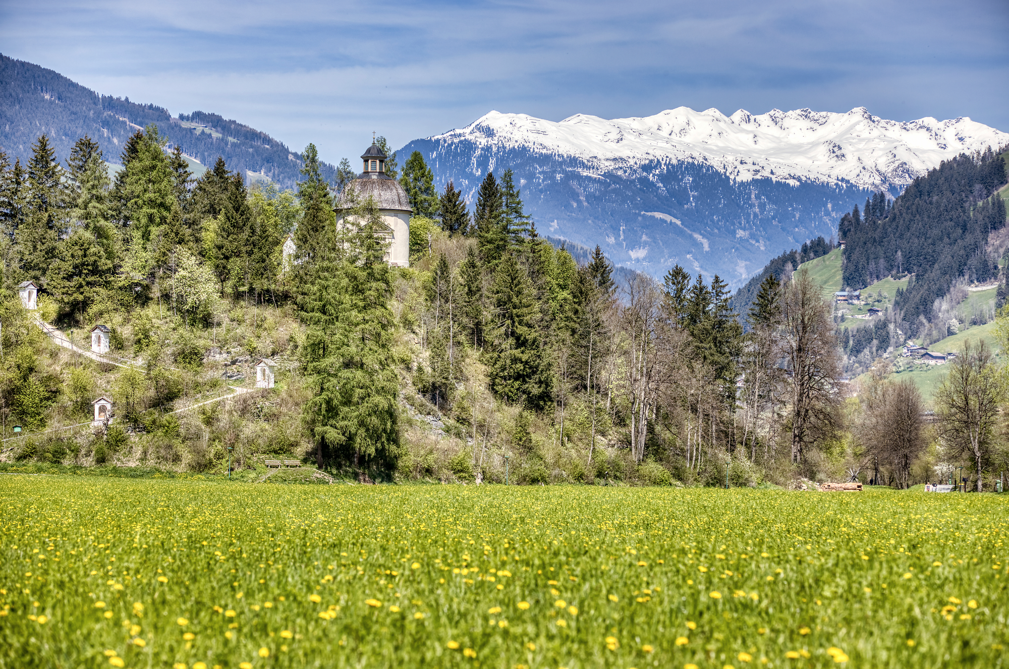 Das Bild zeigt die Burgschrofenkapelle auf einem kleinen Hügel, hinter Bäumen versteckt und einer Blumenwiese im Vordergrund.