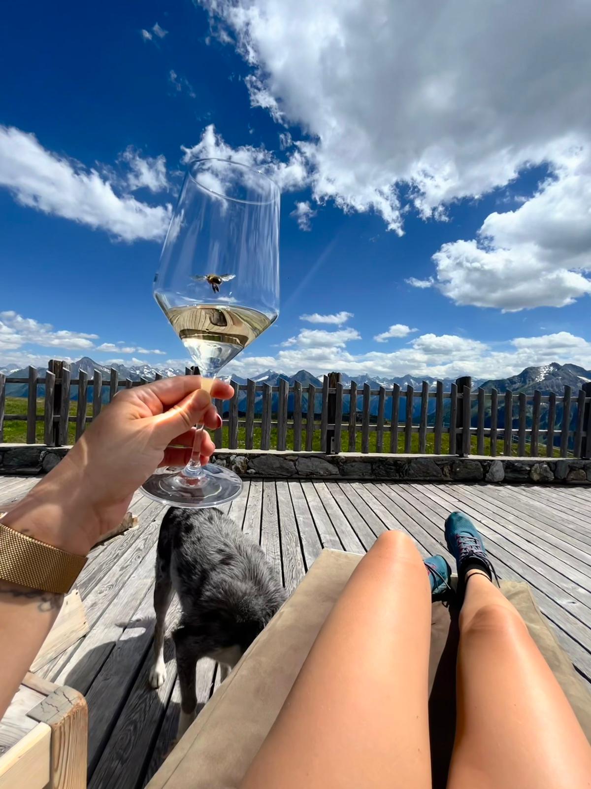 Wein mit Bergpanorama