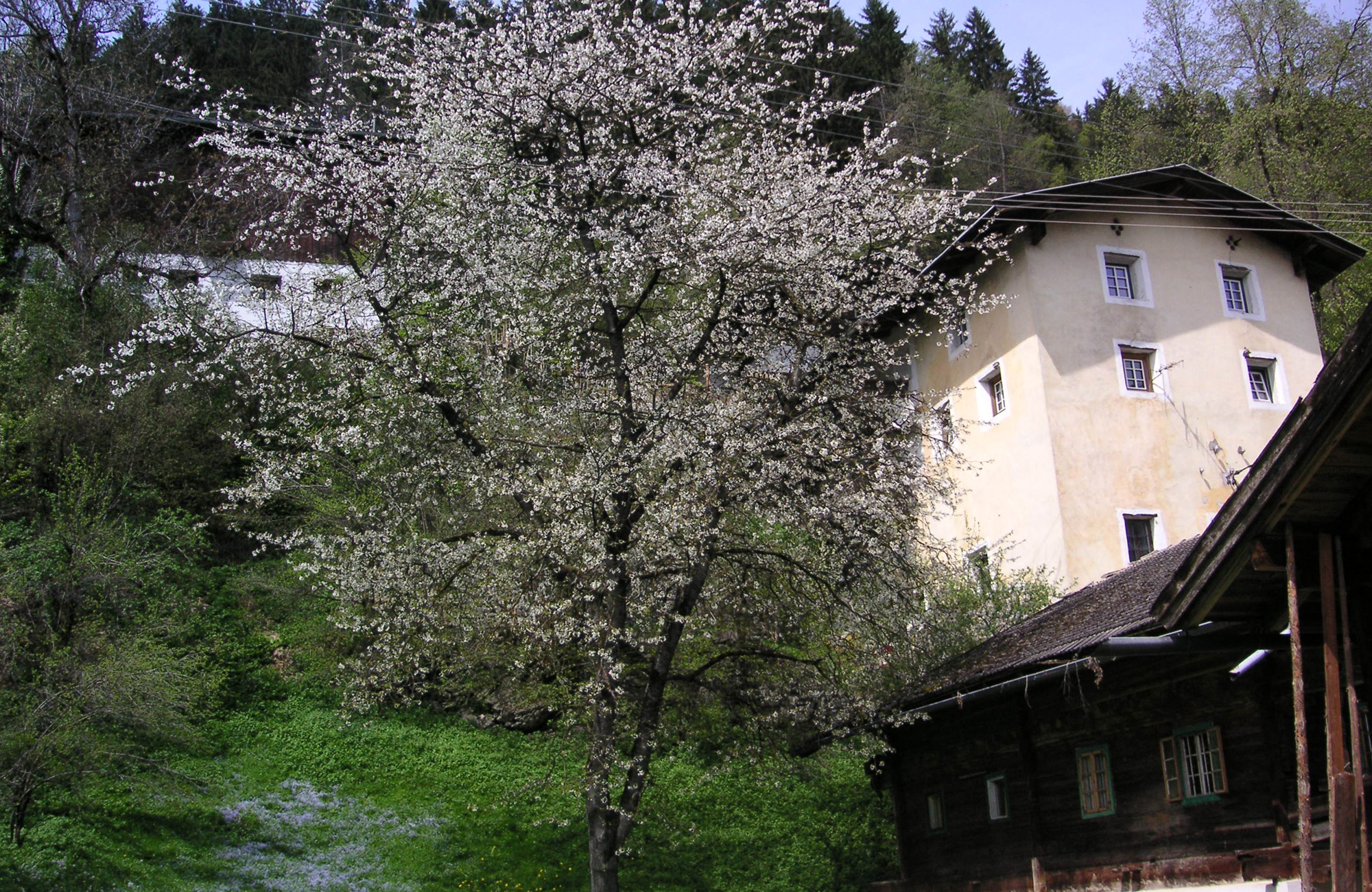 The Thun, a tower-like house from the 13th century, once seat of the magistrate and administrative center of the Schwendau district, on the Schwendau Trail in Tyrol, Station 9 “The Thun,” photographed by Paul Wechselberger.