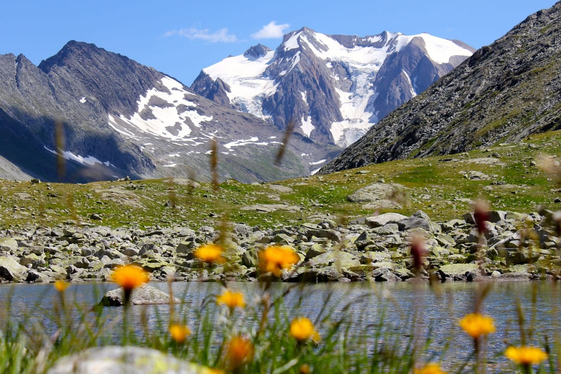 Schöne Landschaft entlang der Peter-Habeler-Runde Dieses Bild zeigt die imposanten, schneebedeckten Alpen und eine blühende Wiese am Wasser. Es lädt zu einer Wanderung auf der Peter Habeler Runde ein und vermittelt Ruhe sowie Naturverbundenheit.