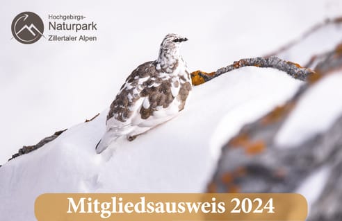 mys-Jahresmitgliedschaft 2024 - Hochgebirgs-Naturpark Zillertaler Alpen-Mitgliedsausweis 2024