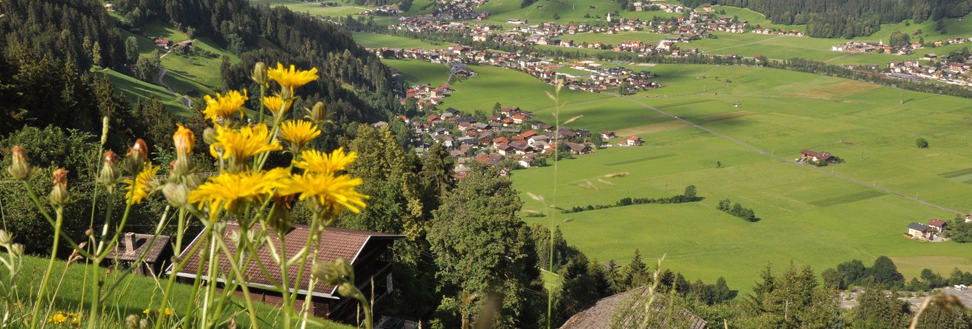 Blick auf Schwendau im Sommer