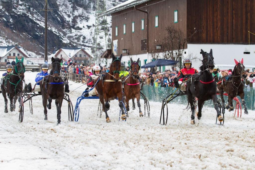 mys-New Year's Horse Racing on Snow-Pferderennen auf Schnee 