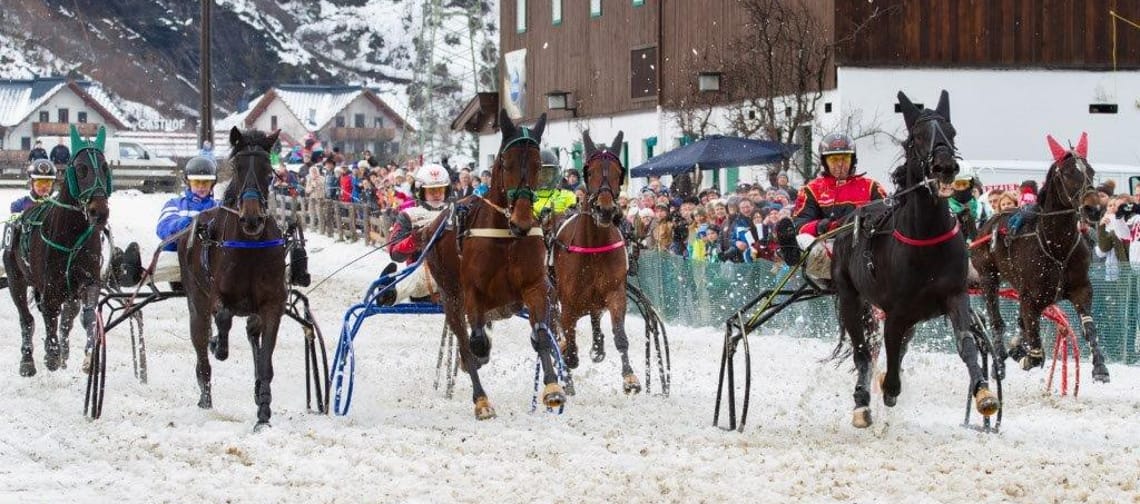 The image shows a horse race with racehorses in the foreground on snow.