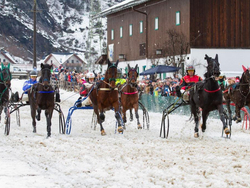 mys-VERSCHOBEN - Neujahrspferderennen auf Schnee-Pferderennen auf Schnee