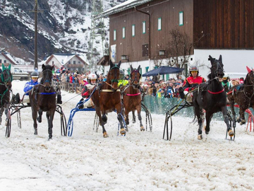 mys-VERSCHOBEN - Neujahrspferderennen auf Schnee-Pferderennen auf Schnee