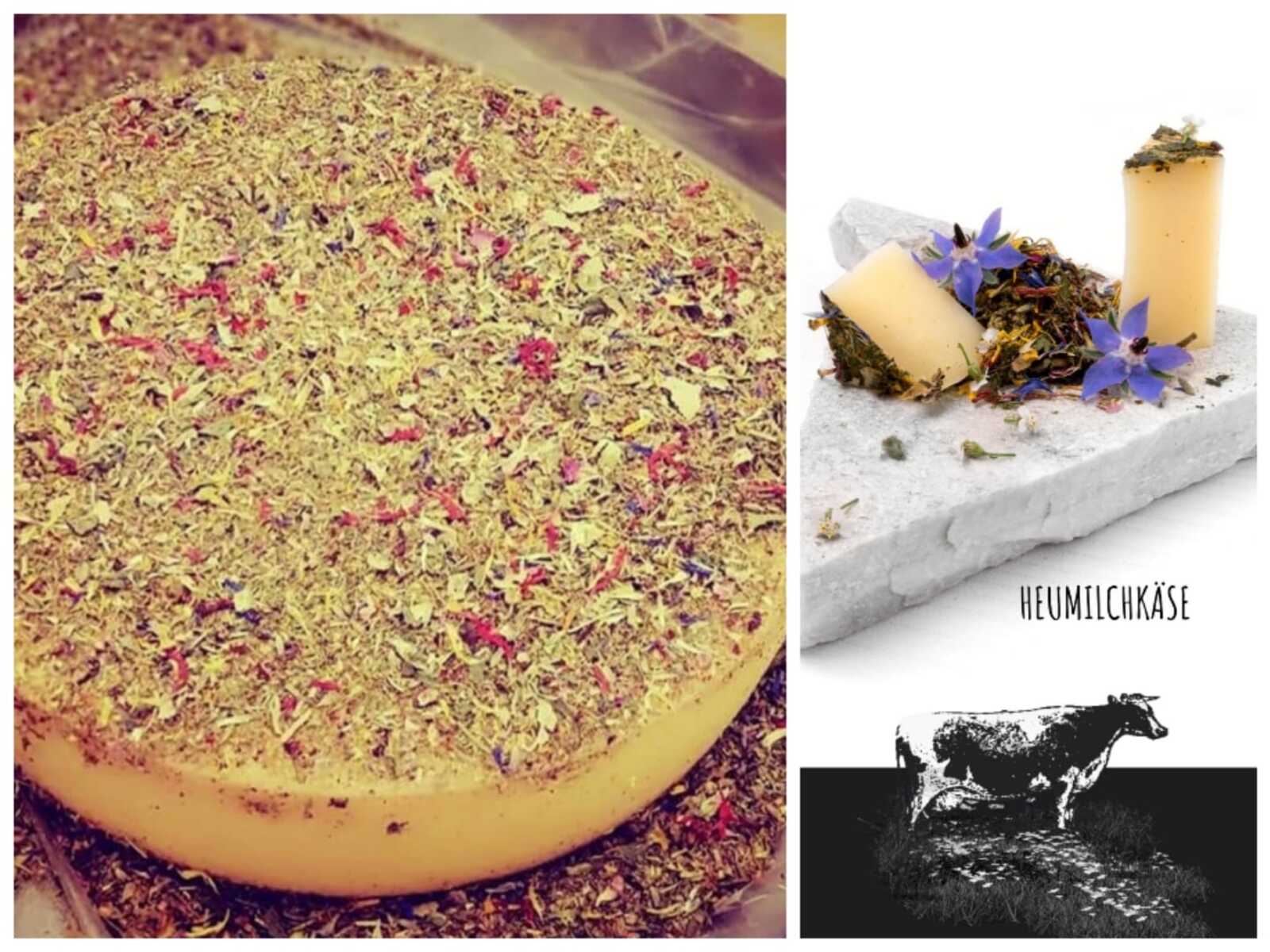 myregio-Zillertaler Heumilch-Sennerei eGen