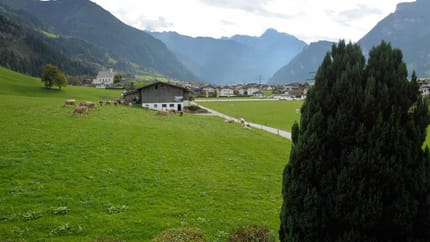feratel-Haus Bergland - Bergland Ramsau - Aussicht 1