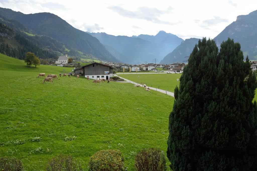 feratel-Haus Bergland - Bergland Ramsau - Aussicht 1