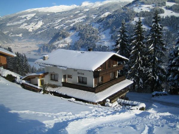 feratel-Bertoni Waltraud Hippach - Winter