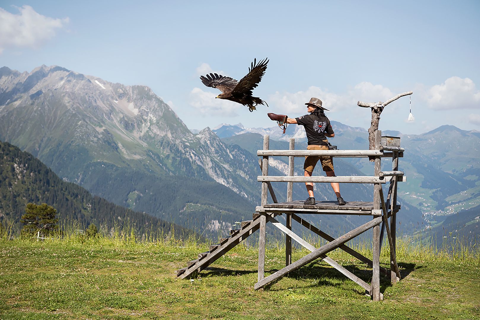 Female falconer with bird of prey on the Ahorn in Zillertal