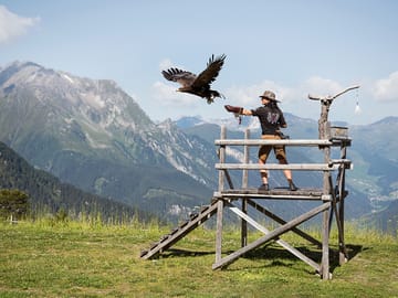 mhf-sommer-adlerbuehne-ahorn-foto-mayrhofner-bergbahnen ©Mayrhofner Bergbahnen