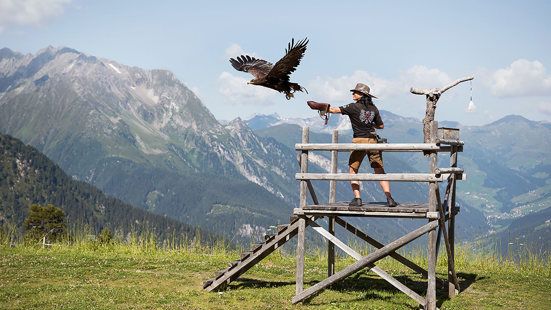 Female falconer with bird of prey on the Ahorn in Zillertal