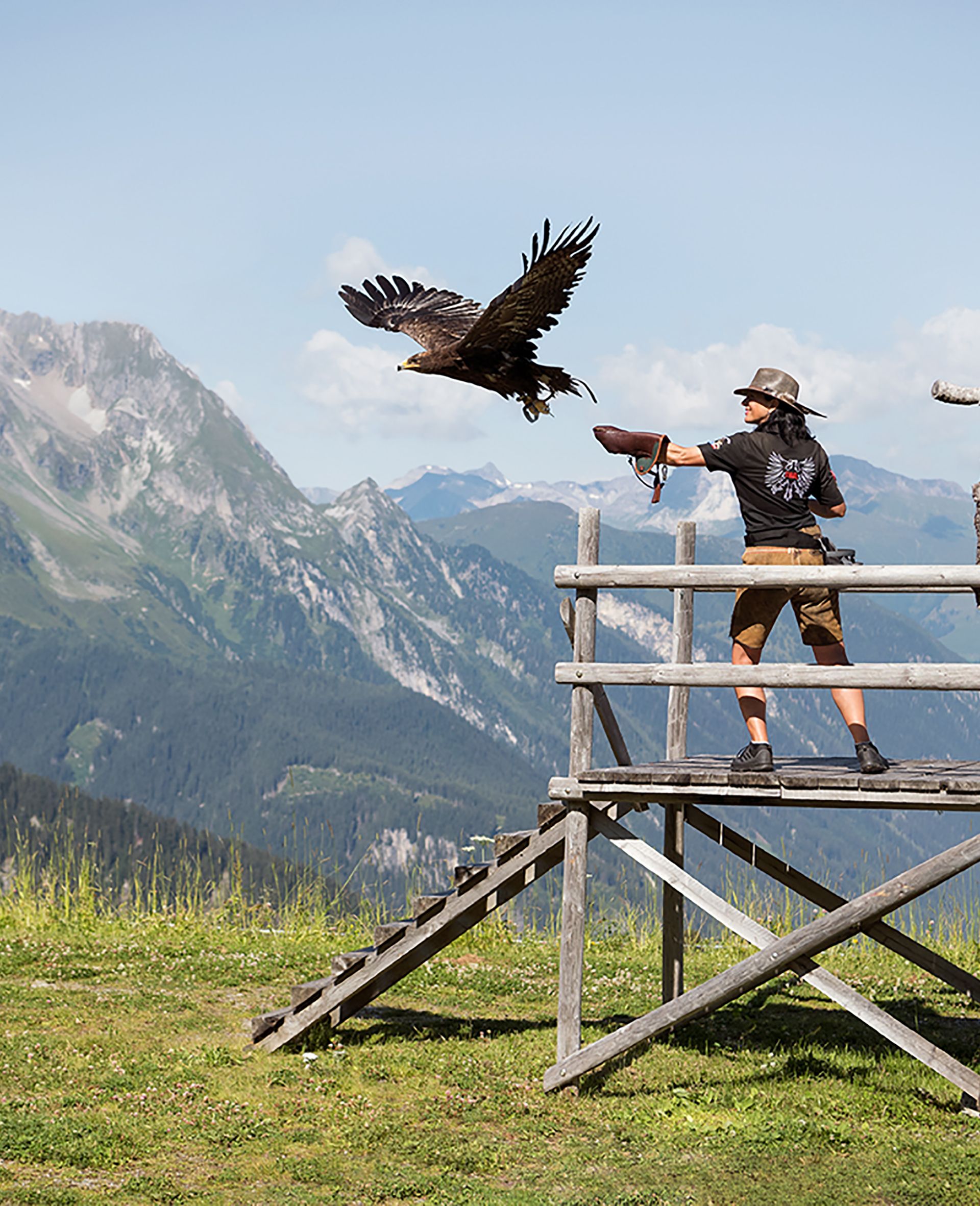 Female falconer with bird of prey on the Ahorn in Zillertal