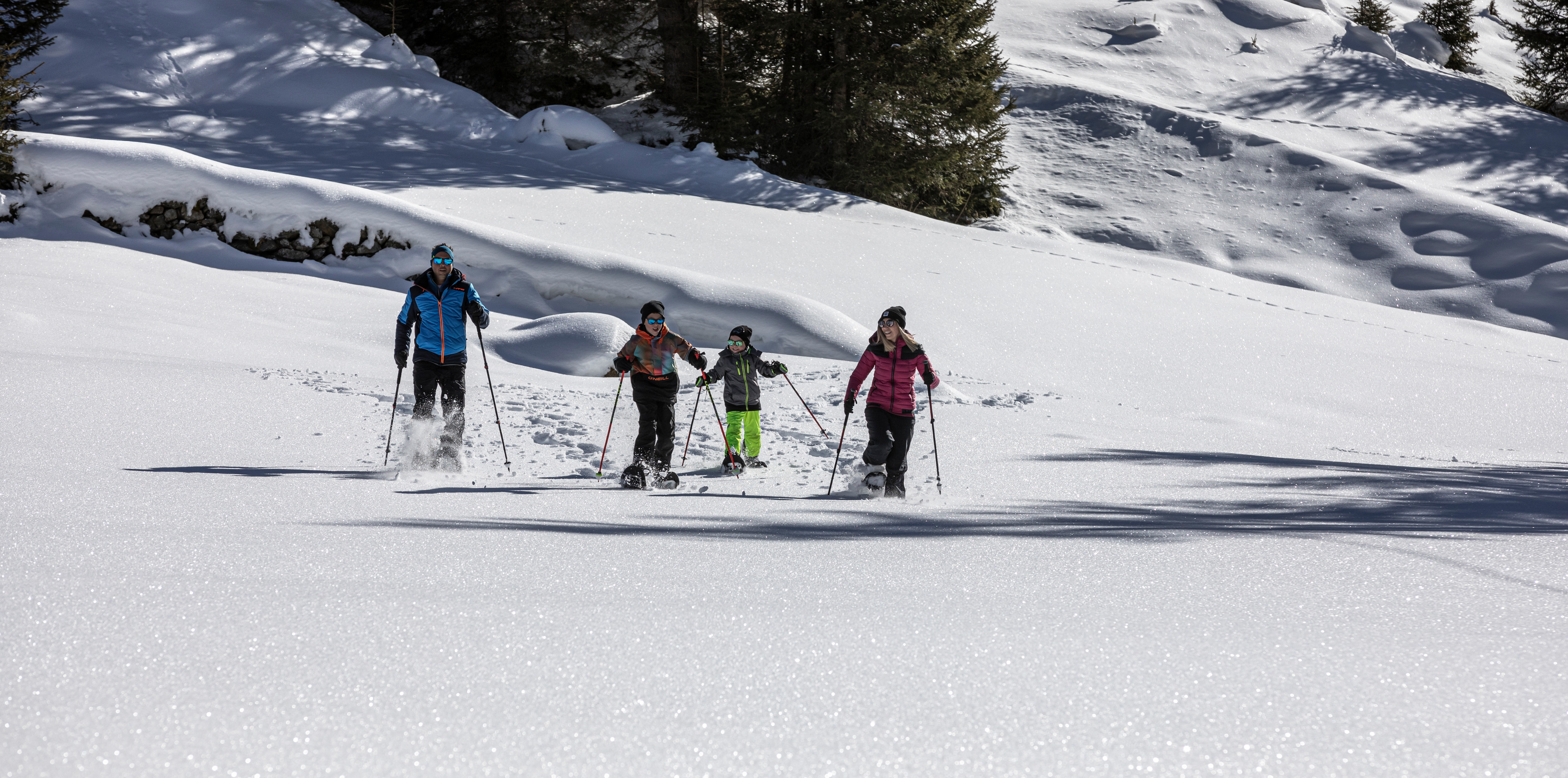Vier Personen laufen mit Schneeschuhen durch eine verschneite Winterlandschaft. Sie gehen nebeneinander, nutzen Stöcke und tragen Winterkleidung. Hinter ihnen liegen Bäume und unberührter Schnee in einer sonnigen Berglandschaft