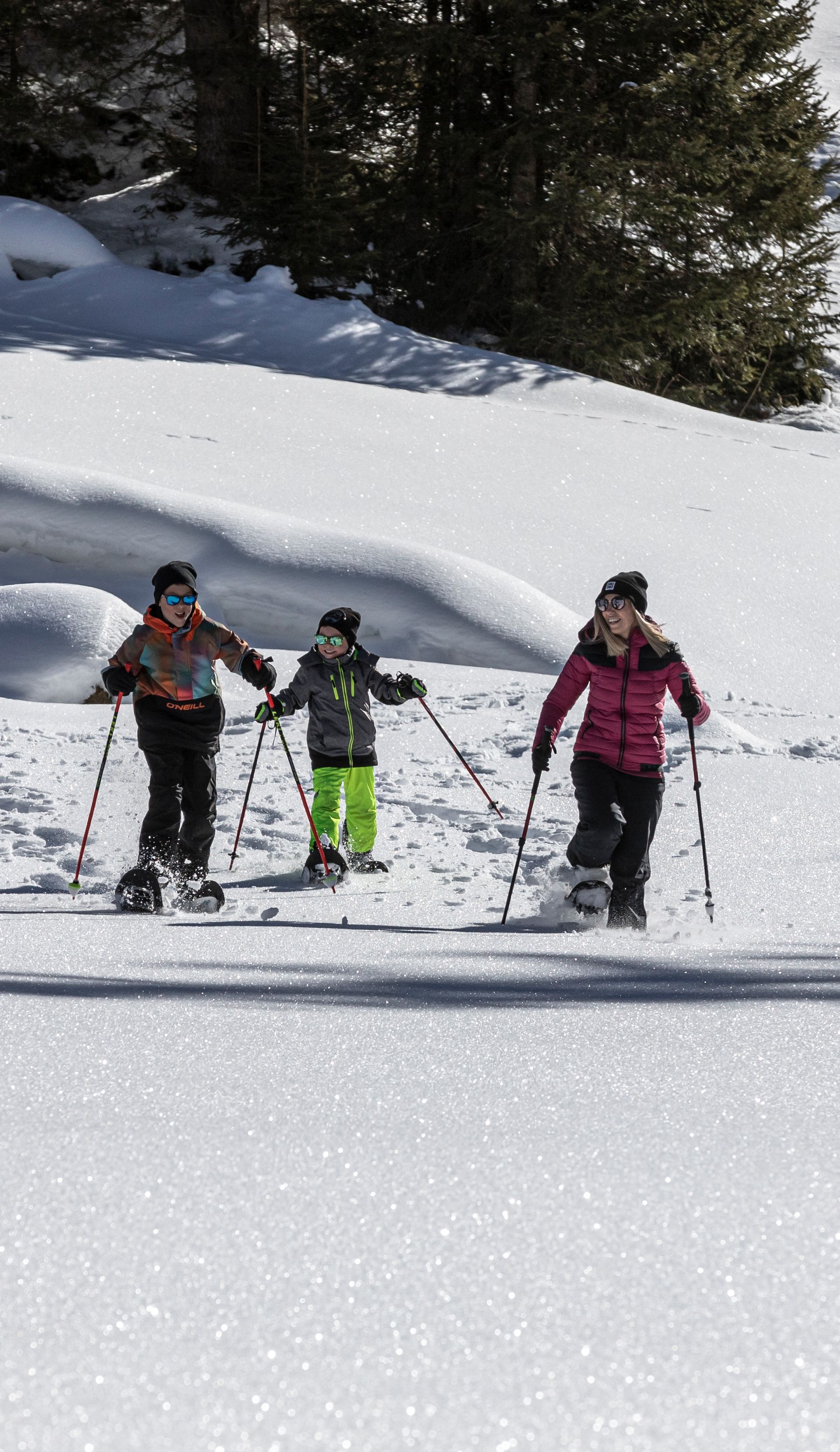 Four people are walking through a snowy winter landscape wearing snowshoes. They are walking side by side, using poles and wearing winter clothing. Behind them are trees and untouched snow in a sunny mountain landscape.