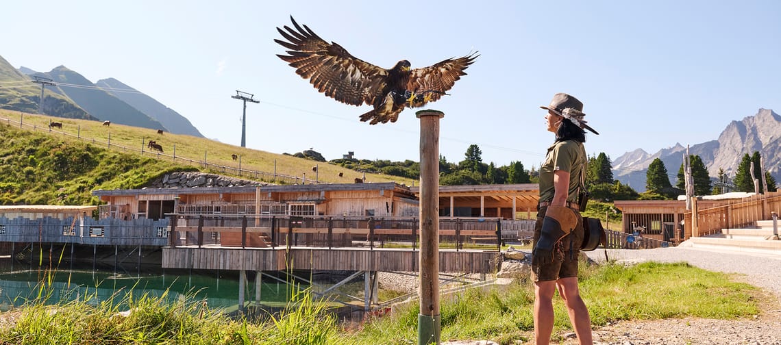 AdlerBühne Ahorn Backstage Workshop