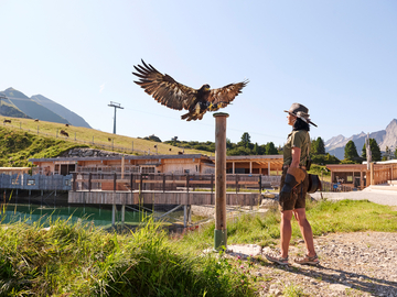 mys-ADLERBÜHNE BACKSTAGE-AdlerBühne Ahorn Backstage Workshop